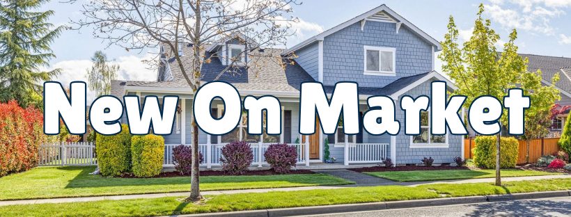 Blue Modern Proffesional Real Estate Email Header (820 x 312 px)