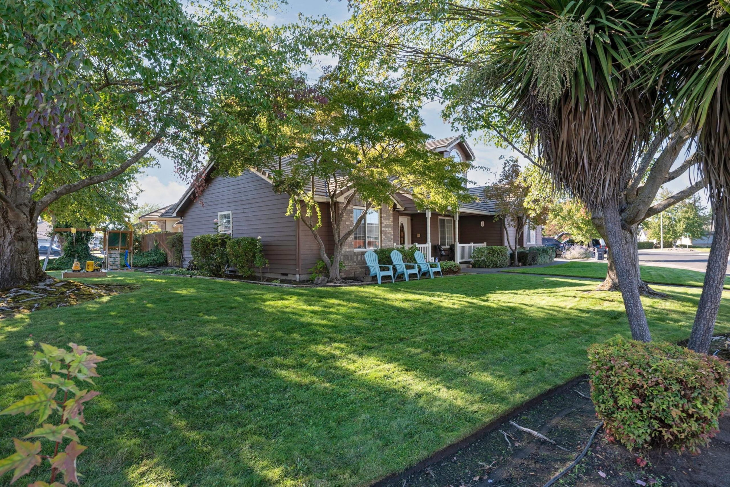 Front lawn and mature trees at 947 Brandon Street